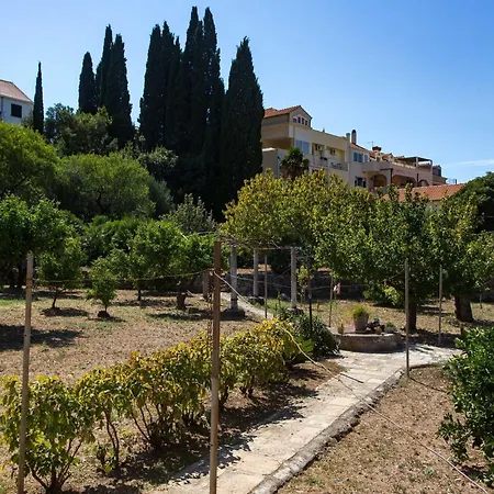 Katarina - Two-bedroom 4 Adults - Izme U Ribnjaka Street No 1 - #3 Apartment Dubrovnik